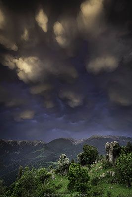 Parfum d'orage