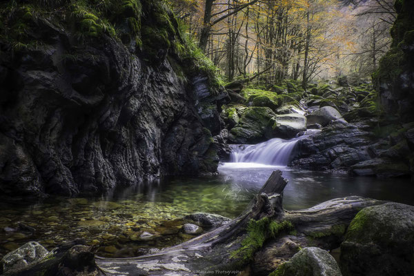 Rivière d'Ars