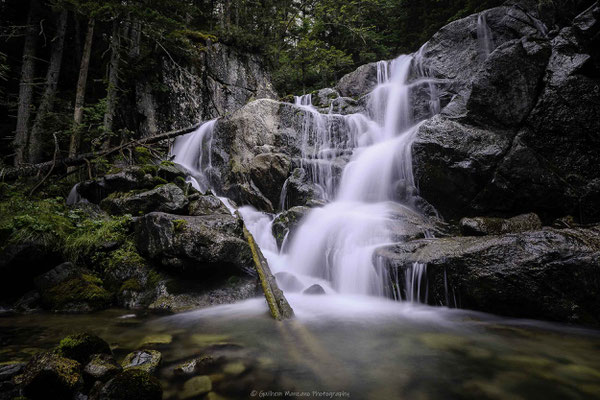 Cascade dans la forêt