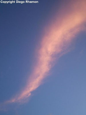 Cirrus fibratus intortus vistas em João Pessoa, Paraíba, em 05/11/2009.