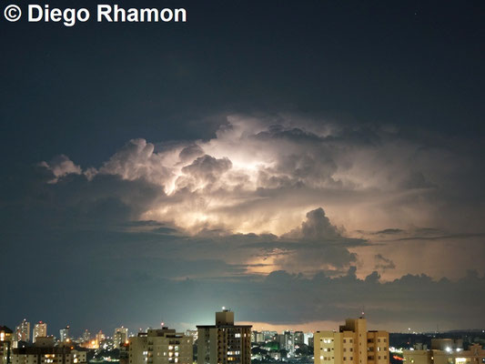 Raio folha visto em São José dos Campos, São Paulo, em 13/03/2021.