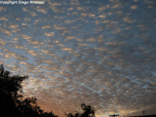 Altocumulus floccus vistas em João Pessoa, Paraíba, em 22/05/2011.