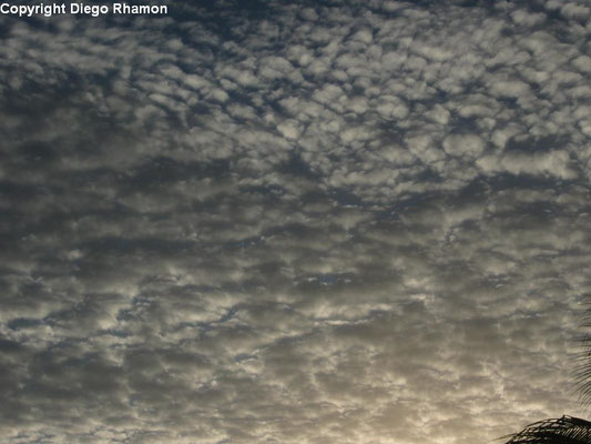 Altocumulus floccus vistas em João Pessoa, Paraíba, em 13/05/2011.