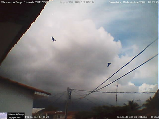 Cumulonimbus e pássaros em 10/04/2009.