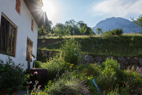 Naturgarten im Attersee-Chalet