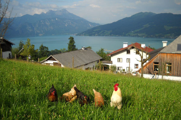 Blick über den Hof Angermann