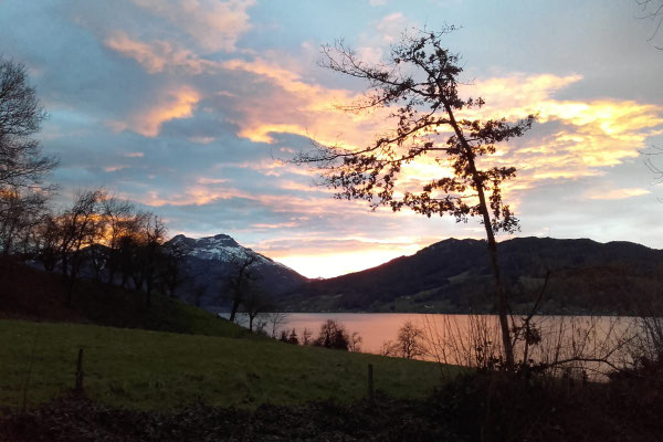 Abendstimmung vom Hof Angermann