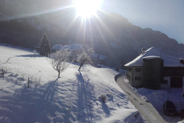 Winterstimmung vom Hof Angermann