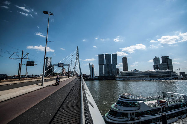 Erasmus Brücke und AIDA in Rotterdam 