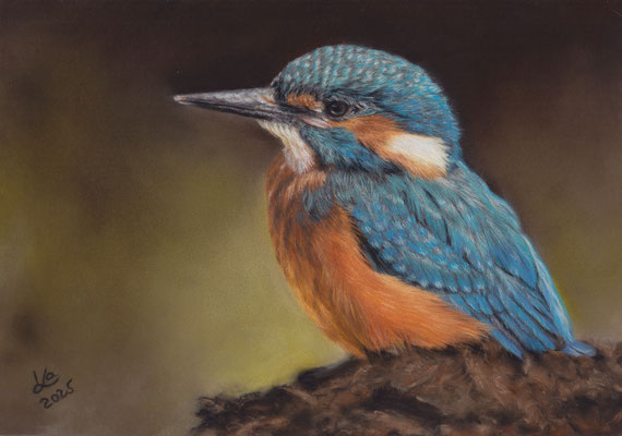 Eisvogel, 29 x 20 cm, Fotovorlage Pam Donovan;  SOLD - VERKAUFT