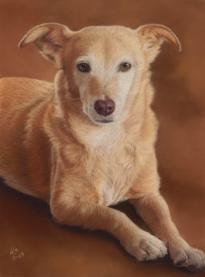 "BooBoo", 30 x 40 cm