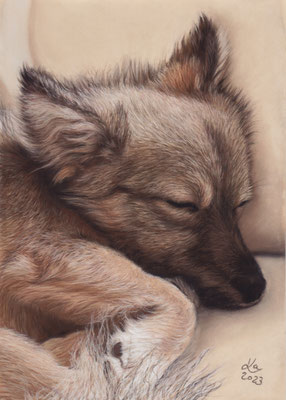 "Mätzchen", 20 x 29 cm