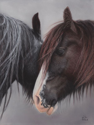 "Domino + Tayo", Irish Cobs, 30 x 40 cm