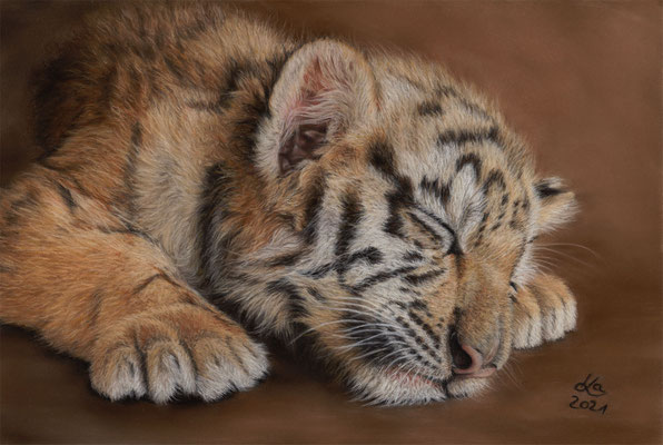 Schlafendes Tigerbaby, 30 x 20 cm, Fotovorlage Katerina Mirus; SOLD - VERKAUFT