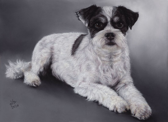 "Timmy", 30 x 40 cm