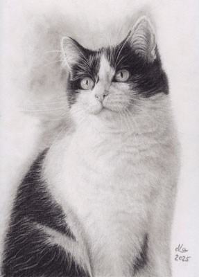 meine "Lilly",  21 x 29 cm