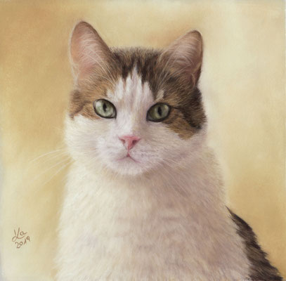 "Paul", 21 x 21 cm
