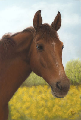 "Grandessa", 40 x 60 cm