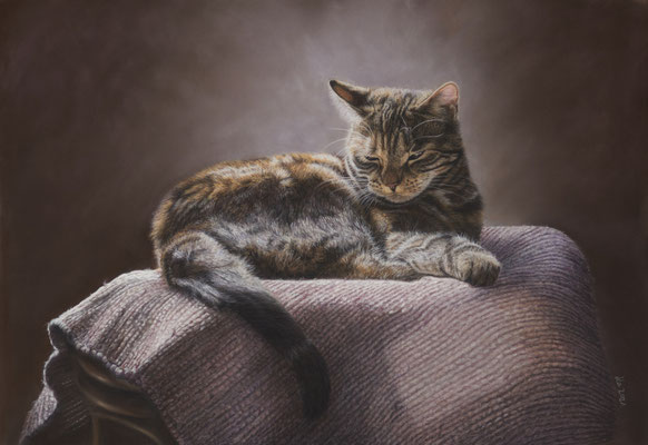 Ruhende Katze, 70 x 50 cm, Fotovorlage KatinkavomWolfenmond, pixabay