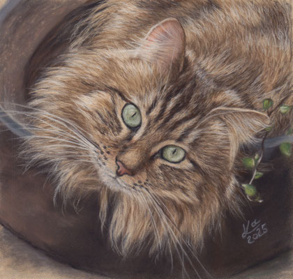 "Finn", 17 x 16 cm