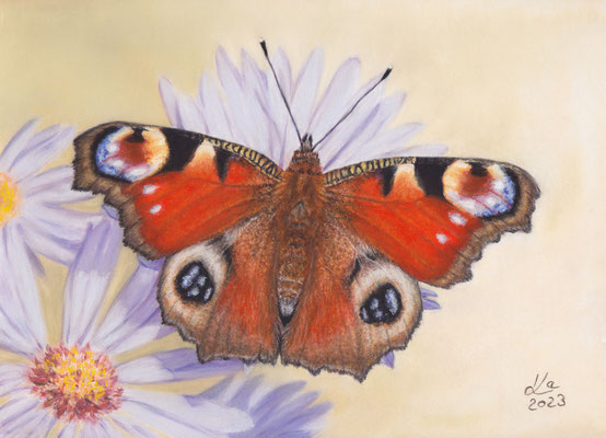 Tagpfauenauge, 30 x 21 cm, Fotovorlage Siegfried Poepperl;  SOLD - VERKAUFT
