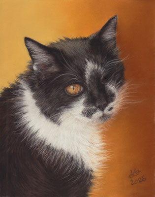 mein "Lisa", 17 x 21 cm