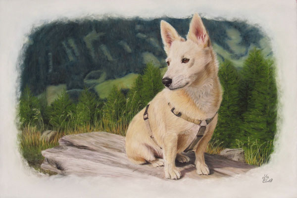 "Felix", 40 x 60 cm