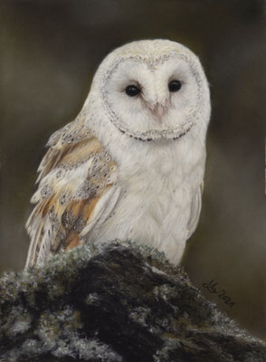"Else", Schleiereule, 21 x 29 cm, Fotovorlage Petr Elvis; SOLD - VERKAUFT