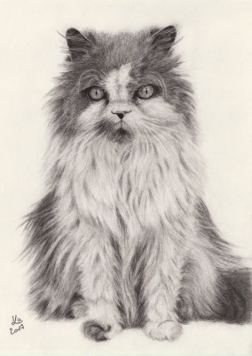 "Kasper", 30 x 40 cm