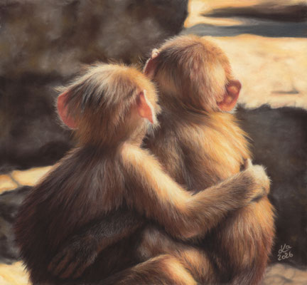 Äffchen, 28 x 30 cm, Fotovorlage RT reference photos