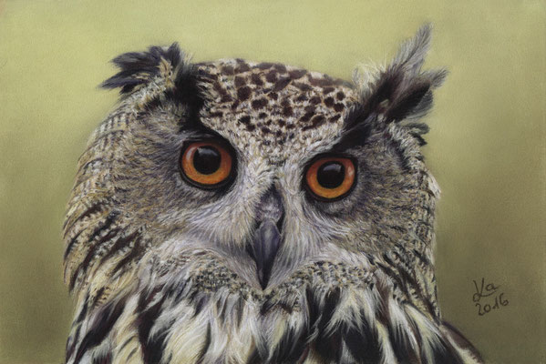 Uhu Portrait, 15 x 22 cm, Fotovorlage Stuart Richards; SOLD - VERKAUFT
