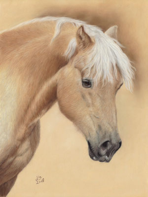 "Amigo", Edelblut-Haflinger, 30 x 40 cm