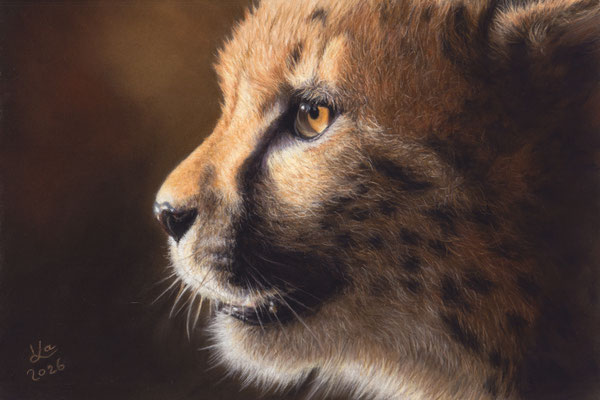 junger Gepard, 20 x 30 cm, Fotovorlage RT reference photos