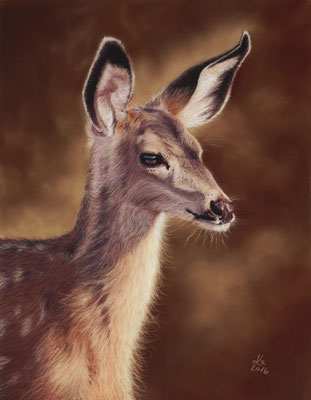 Junger Damhirsch, 29 x 37 cm, Fotovorlage Lenora Melville