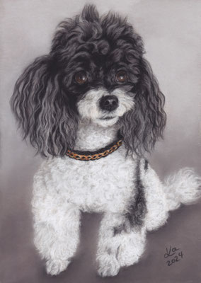 "Sina", 20 x 29 cm