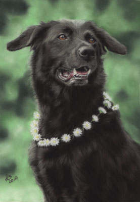 "Babsi", 20 x 29 cm