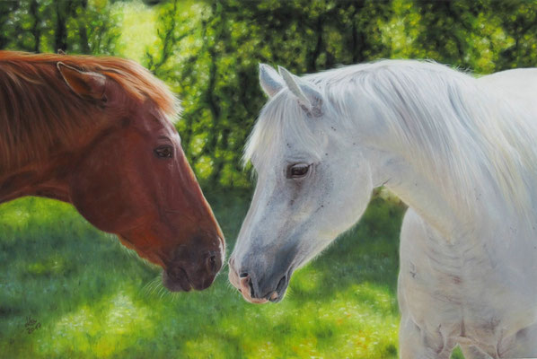 "BJ + Dally", Quarter Horses, 40 x 60 cm, reference photo Karen Broemmelsick
