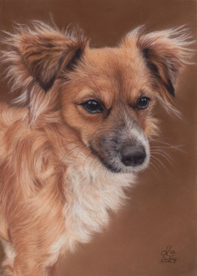  "Kyra", 20 x 29 cm