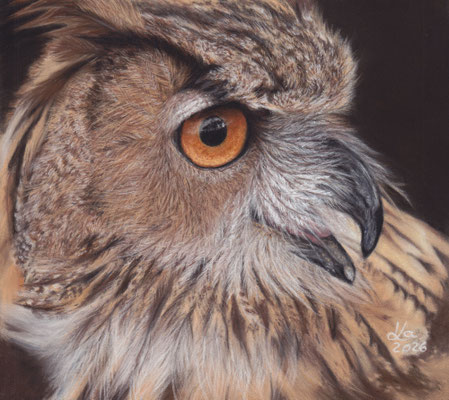 Uhu, 18 x 20 cm, Fotovorlage "DerWeg" pixabay