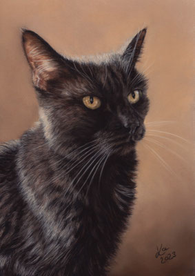 "Lucky", 21 x 29 cm