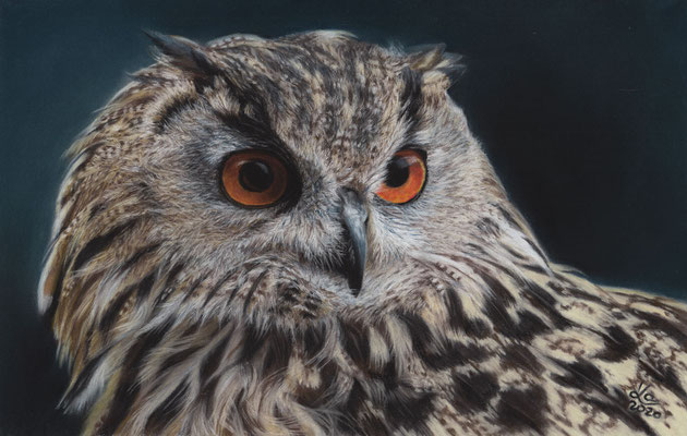 "Luise", Uhu, 19 x 20 cm, Fotovorlage Ian Murdoch; SOLD - VERKAUFT