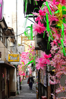 Golden Gai Tokio, alternatives Viertel
