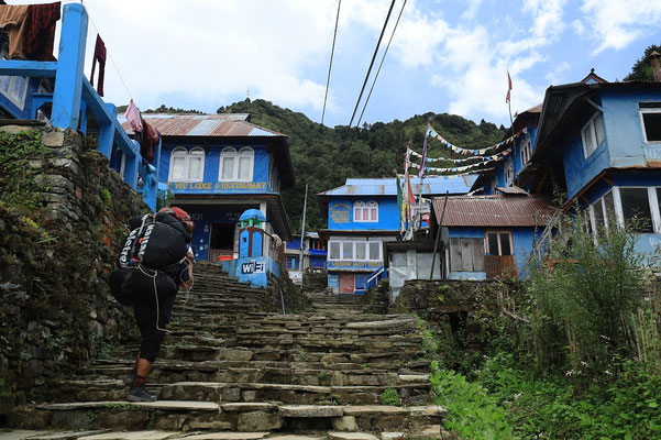 Ghorepani auf dem Weg nach Poon Hill, Wanderung im Himalaya, Nepal