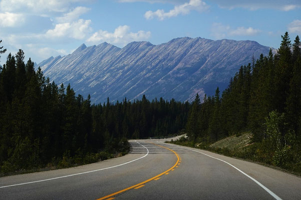 Roadtrip Icefields Parkway, lohnt sich der Icefields Parkway? Trip Kanada Nationalparks