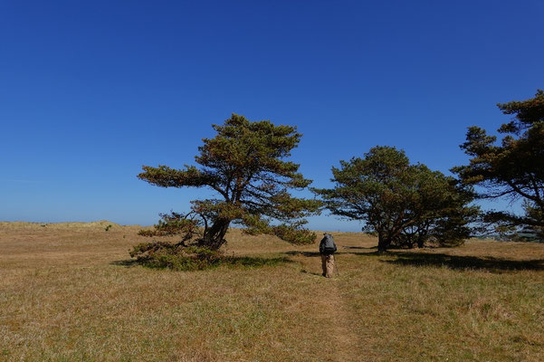 Sandwege John Muir Way, Schottland Wanderung Küste zu Küste