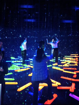 TeamLab Tokio, Kletterwald