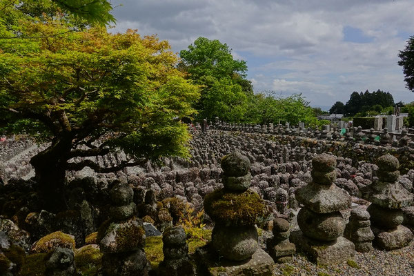 Adashino Nenbutsu-ji, 8000 Grabsteine