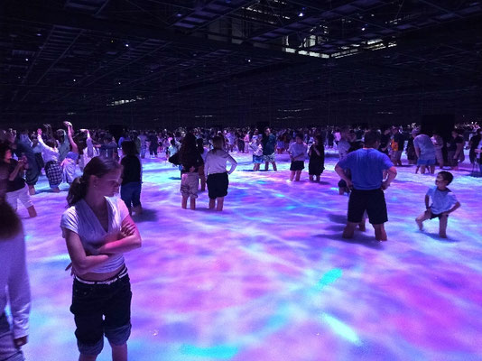 TeamLab Tokio, Wasserraum