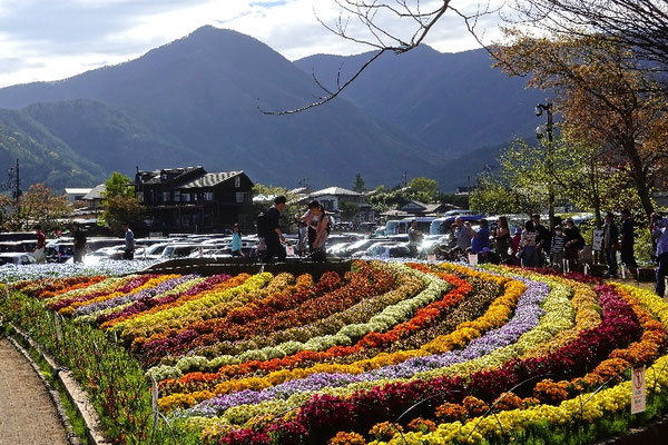 Blumenfestival am Fuji