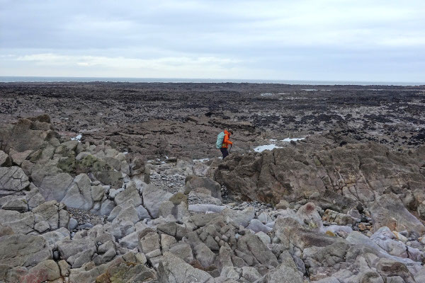 Wanderweg zum Worm's Head in Wales bei Ebbe Sarah und Rand